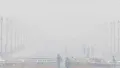 The Indian Meteorological Department (IMD) forecasts thick fog covering northwest, central, east, and northeast India during morning hours on January 6