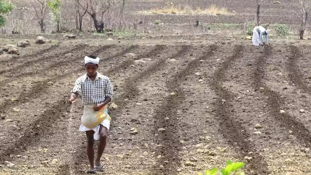 The ongoing war in West Asia and the rising costs of fuel and fertilizers give India an opportunity to enhance fertilizer use efficiency and moderate demand