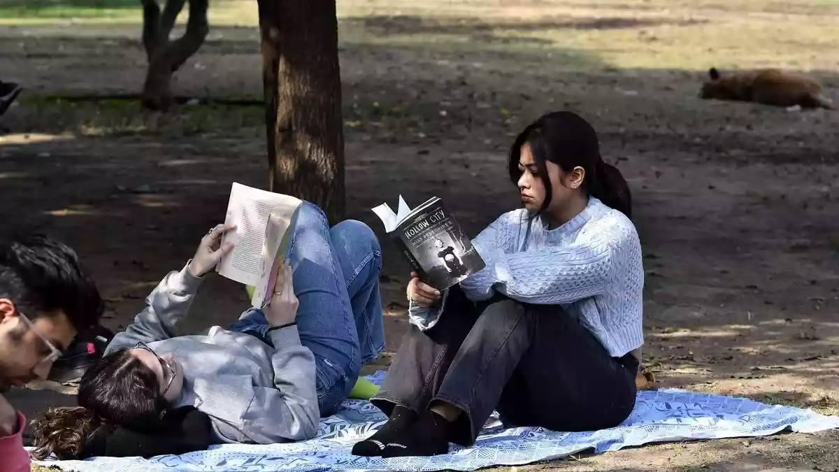 On a Sunday morning in New Delhi's Lodhi Garden, readers hovered through the fog and filthy air to read on the grass under the winter sun