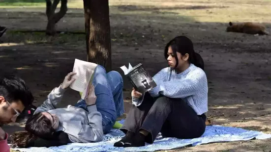 On a Sunday morning in New Delhi's Lodhi Garden, readers hovered through the fog and filthy air to read on the grass under the winter sun