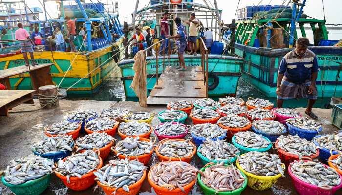 In a move to enhance marine exports, the government is organizing an investors' meet in Lakshadweep. Union Minister for Fisheries Rajiv Ranjan Singh has said the government will hold an Investors and Exporters Meet in November in Lakshadweep to promote investment and exports in tuna fisheries, seaweed cultivation, and ornamental fisheries.