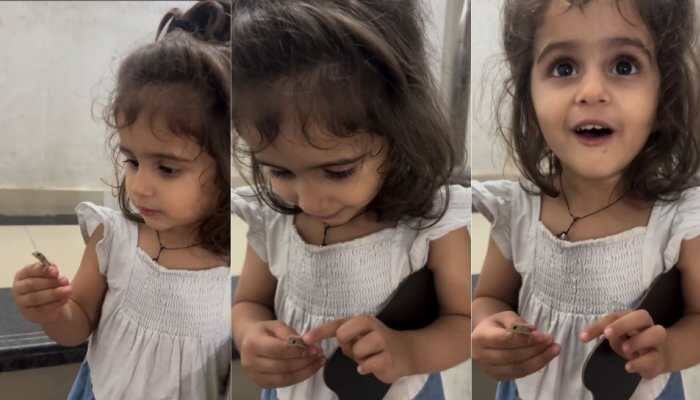 In a viral video, a father is seen handing a baby lizard to his two-year-old daughter, leaving the internet divided. While some praised the dad for helping his child overcome fear, others admitted the clip gave them goosebumps. For many, lizards are scary, and just one sight is enough to make people run away. But a little girl proved there's nothing to fear.