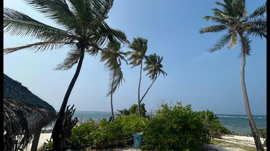In Lakshadweep, the coconut tree is more than a crop. It is the spine of life, the anchor of households, and the commons on which an entire community has survived for centuries. On these fragile coral islands where cultivable land is scarce, most palms rise from public lands—roadside strips, panchayat plots, and shared homesteads—long treated as open access resources. Families climbed them freely, harvesting nuts that went into food and drink, into oil and copra, and into ropes, mats, and boats. Coconut sales supplemented fragile fishing incomes, often forming the difference between poverty and survival.