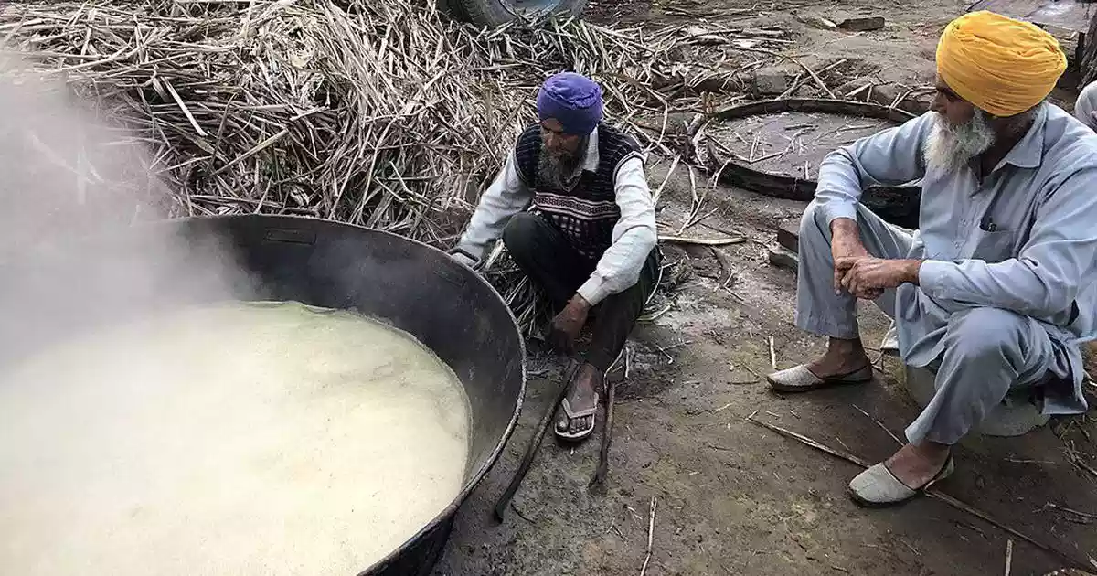 India on Wednesday banned exports of raw, white and refined sugar with immediate effect until September 30, as the government moved to contain domestic prices