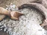 India has eased export rules for rice. Basmati and non-basmati rice can now be shipped to certain European nations. This is without the usual inspection