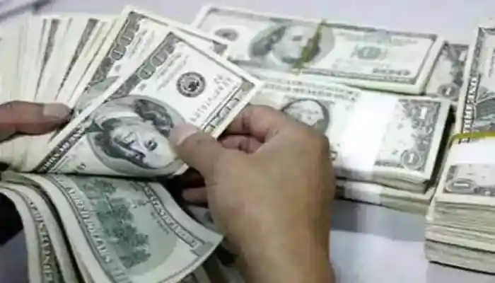 India's forex reserves have remained on a steady upward path in recent weeks. Before the latest surge, the reserves had already touched a previous high of USD