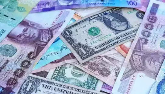 This increase mainly reflects a rise in global gold prices, as the RBI's gold is valued according to the price movement in the global market