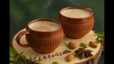 India's wellness market is buzzing with exciting new launches from teas infused with traditional and modern health benefits to protein-packed dairy and innovative festive sweets. Brands like Tetley, Tata Tea, Akshayakalpa, and MTR are bringing unique offerings that blend taste, nutrition, and tradition for the mindful consumer.