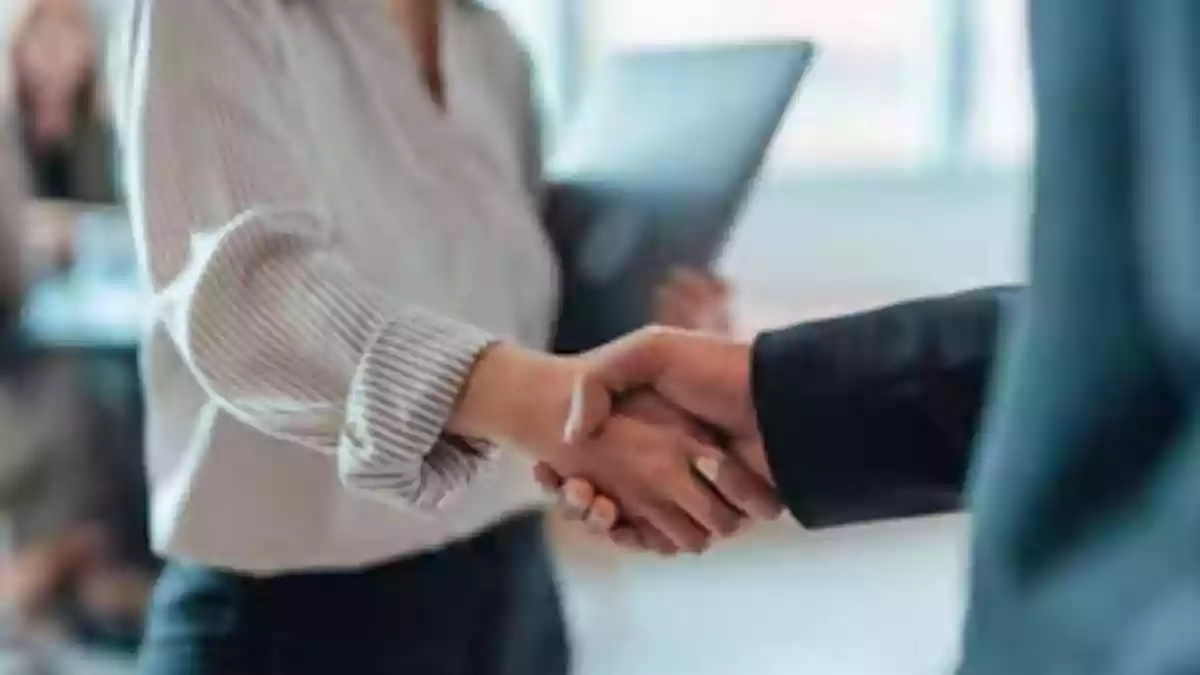 India's White-Collar Hiring Increased By 12% Due To AI Adoption