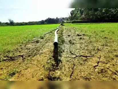 India faces significant challenges in scaling up digital and geospatial technologies for agriculture despite successful pilot programmes