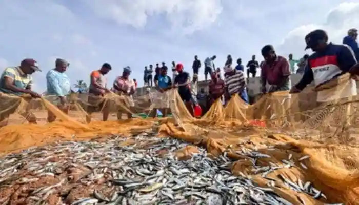 India-UK Trade Deal To Increase Seafood Exports