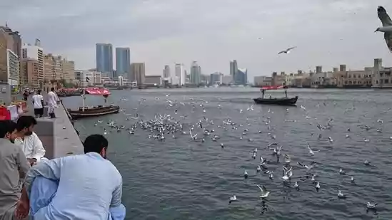 Indian among 4 injured as drones fall near Dubai airport amid Iran-US war