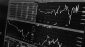 -India's equity benchmarks were little changed on Friday, pausing near record high levels hit in the previous session, with trade turning indecisive ahead of