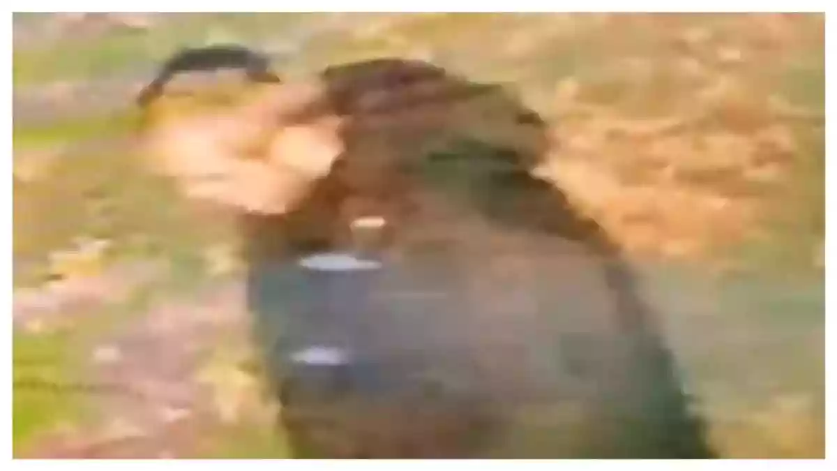 Indian-Origin Woman Raped In UK In ‘Racially Motivated’ Attack