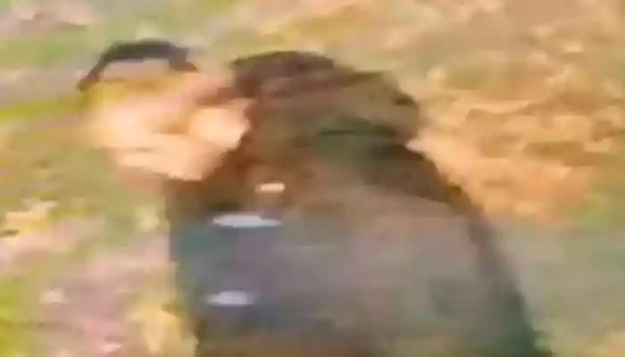 Indian-Origin Woman Raped In UK In Suspected ‘Racially Aggravated Attack’