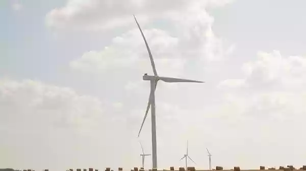 Indowind Energy share price fell over 3% in early trade on Monday after the renewable energy company launched its rights issue of shares