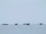 Iran's maritime authority is ready to provide essential services to ships in the Strait of Hormuz. This comes after US President Donald Trump announced a