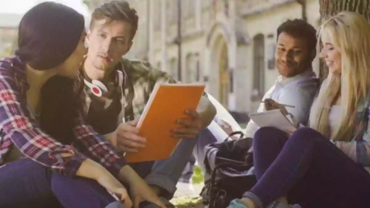 The Government of Ireland International Education Scholarship (GOI-IES) programme will open applications for the 2026 cycle on January 29