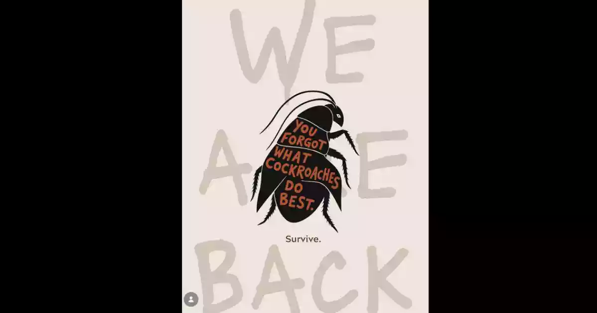 In the English translation of Franz Kafka’s short story, Metamorphosis, published in 2007, Michel Hofmann translated the famous opening line (which included