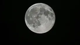 Get ready for a spectacular sight in the night sky as the 'Beaver Moon' will appear on November 5 with peak illumination at 8:19 a.m. ET