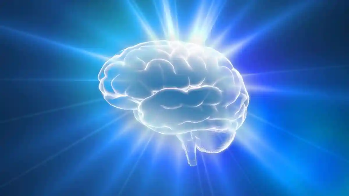 It is a reminder that our brain, like the rest of our body, needs daily care. A healthy brain not only reduces the risk of Alzheimer's and dementia but also keeps memory, focus, and mood in balance. The good news is that small lifestyle changes can make a big difference. Dr Neha Pandita, Consultant Neurology, Fortis Okhla shares ten everyday habits to keep your brain healthy: