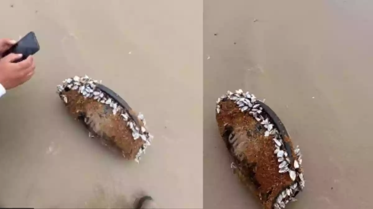 JBL Speaker Floats In Ocean For Three Months