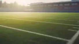 MIAMI GARDENS, Fla. (AP) — The Miami Dolphins and Jeff Hafley have reached an agreement to make the former Boston College head coach and Packers