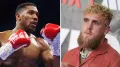 Former world heavyweight champion Anthony Joshua will fight YouTube star Jake Paul in a professional bout on 19 December. </b> Britain's Joshua