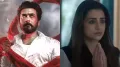 <strong>Karuppu box office collection</strong>: Tamil stars Suriya and Trisha have bounced back strongly at the box office as Karuppu recorded a