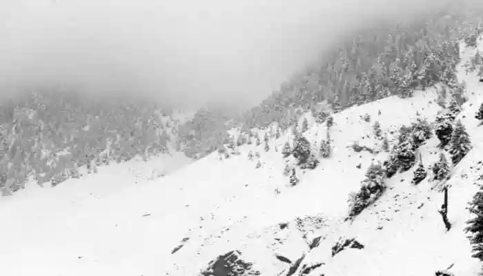 Kashmir snow crisis disrupts life amid record accumulation