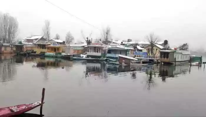 Srinagar's iconic Dal Lake came alive as hundreds of shikaras carrying tourists from across India and abroad glided across its waters
