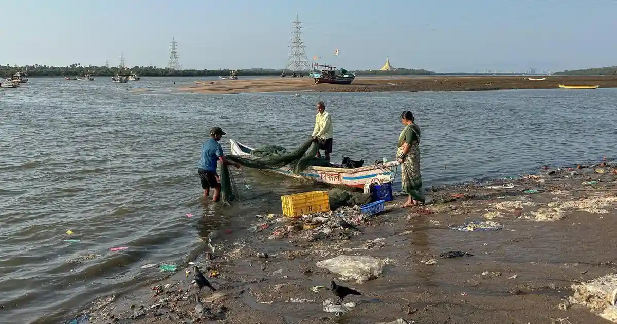 Just before dawn, small fishing boats sail into the creeks dotting Mumbai’s coastline. By mid-morning, the catch will be sorted, packed and delivered to the