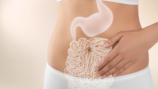 Home-cooked meals are often seen as the gold standard for healthy eating, but even the freshest, lovingly prepared dishes can sometimes trouble your gut