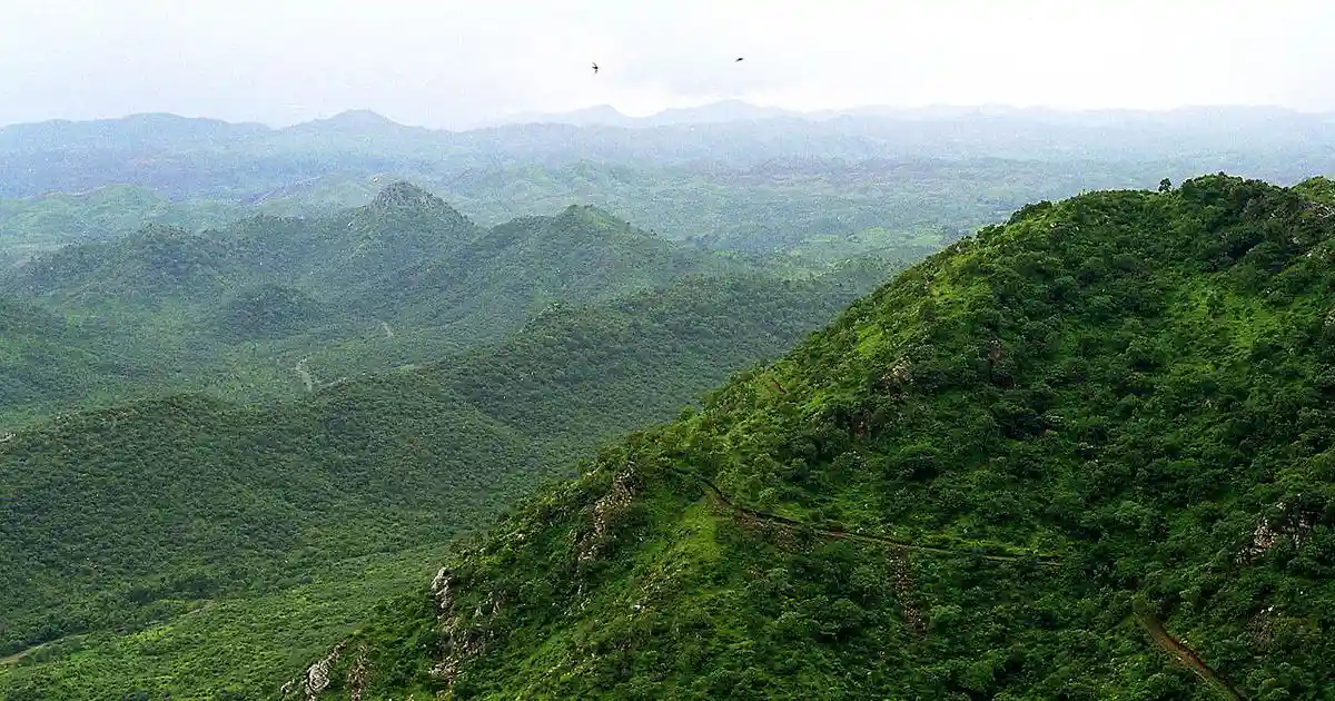 Over two billion years old, the Aravalli mountain range in north-western India feels like an oasis running through Rajasthan’s hot, arid landscape