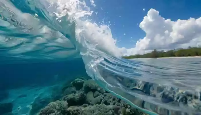 Lost Continent Resurfaces