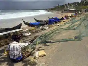 Maharashtra is now setting minimum size limits for fish sold in markets. This move, in partnership with the Central Marine Fisheries Research Institute, aims to stop the netting of young fish. This practice has harmed reproduction and reduced the state's annual catch. The new rules ensure fish have time to grow and reproduce, leading to improved stocks and increased business.Maharashtra is now setting minimum size limits for fish sold in markets. This move, in partnership with the Central Marine Fisheries Research Institute, aims to stop the netting of young fish. This practice has harmed reproduction and reduced the state's annual catch. The new rules ensure fish have time to grow and reproduce, leading to improved stocks and increased business.Maharashtra government, with the help of Central Marine Fisheries Research Institute, has decided on length of the fish that can be caught for selling in the markets, TOI reported. <br><br>This is to reduce the netting of juvenile fish, which has affected their reproduction and eventually depleting the state's annual catch. If the fish caught is not fully grown and does not attain the minimum legal size (MLS) as decided by the state, will not be met with strict action from the fisheries department. <br><br>For example, the state's official fish, silver pomfret, and bangda (Indian mackerel) must be 14cm long. Similarly, a prawn should be 9cm long. The length of Bombay duck should be 18cm whereas for surmai, MLS is 37cm. Maharashtra is the second state after Kerala to introduce the fish length criteria.<br><br>Sources told TOI that a stricter ban juvenile fishing during the recent monsoon led to a sudden rise in the overall catch during the post-monsoon season, which has led to the decision. <br><br>“This is because it gave fish enough time to grow and reproduce, eventually making them flourish. Even stocks have improved,” a senior fisheries official told TOI. Sources said in the pre-monsoon period this year, the state received 995 tonnes of pomfret stock.<br><br>With five months of controlled fishing, the post-monsoon stock has increased by over four times, with average length much more than what has been decided. <br><br>“So, the earlier Rs 11 crore business between March and May now stands at over Rs 350 crore and counting,” PTI reported, quoting a source. Recently, state minister of fisheries and ports Nitesh Rane chaired a review meeting on MLS of fish and the ongoing conservation measure