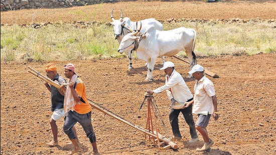 Maharashtra mandates private money lenders to display loan rates and licence info to curb exploitation of farmers amid rising suicide rates. MUMBAI: Given Maharashtra’s history of suicides among farmers – approximately 2700 to 2800 each year for the last seven to eight years – and growing complaints of extra interest rates being levied on farm loans followed by land grabs, the state government has devised a method to keep private money lenders in check. The state’s co-operation department has made it mandatory for the 12,000-odd private money lenders to display the details of their licence numbers and the interest charged on loans on a board outside their offices or shops, and has warned of strict action should they fail to comply.