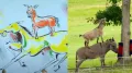 Remember Majnu Bhai’s masterpiece, which featured a donkey on a horse’s back? Nearly two decades after the release of ‘Welcome,’ featuring Akshay Kumar
