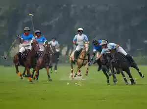 Manipur Governor disburses Rs 30 lakh incentive for polo ponies amid population decline