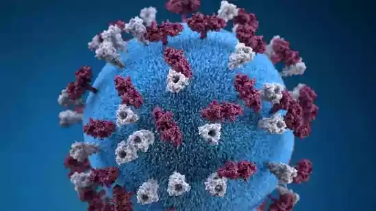 Measles cases in US