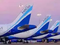 Mediation between IndiGo and Mahindra Electric over the 