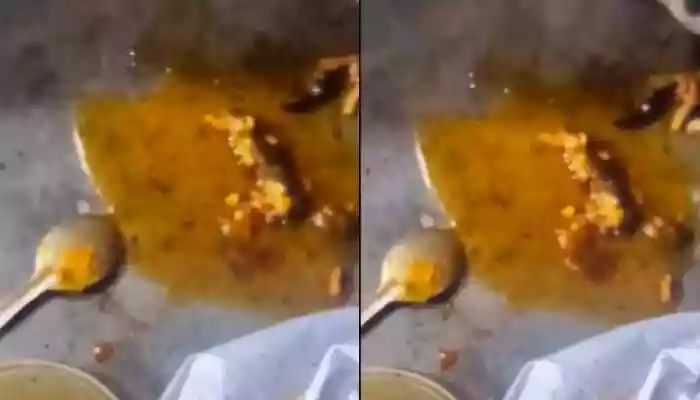 Meerut Man Falls Sick After ‘Lizard Found In Chicken Curry’ Ordered On Outlet
