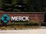 Merck is acquiring Terns Pharma for $6.7 billion to strengthen its cancer drug pipeline, aiming to reduce reliance on its blockbuster Keytruda ahead of patent