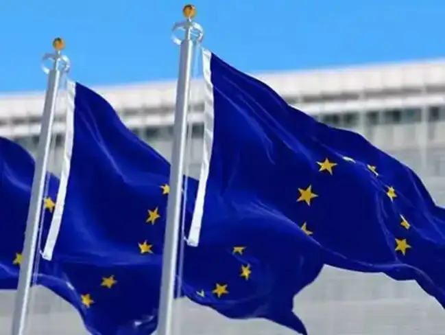 Meta Platforms and TikTok on Wednesday won their legal fight against a European Union supervisory fee imposed on them under landmark tech rules, after Europe's second-highest court faulted EU regulators on the way they calculated the levy.<br><br> Meta and ByteDance's TikTok sued the European Commission after they were hit with a supervisory fee of 0.05% of their annual worldwide net income to cover the EU executive's cost of monitoring their compliance with the Digital Services Act.<br><br> The size of the annual fee is tied to the number of average monthly active users for each company and whether each posts a profit or loss in the preceding financial year. The two companies said the methodology was flawed, resulting in disproportionate fees. <br><br> The Luxembourg-based General Court sided with Meta and TikTok, giving EU regulators 12 months to fix their methodology using a different legal act.<br><br> 