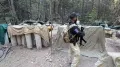 The Mexican government says two </b>US agents who died last weekend in a car crash had not been authorised to operate in the country. The officials
