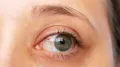 India accounts for a significant share of the global burden of visual impairment. According to a nationally representative study published on PubMed