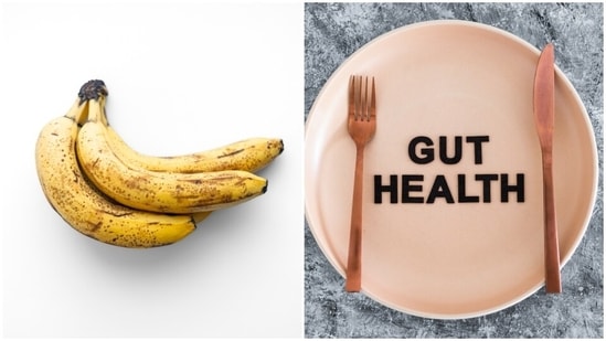 More than any supplements, whole food stores in a world of benefits that can actually benefit your gut health and overall wellbeing. However, often, we are not well informed about these beneficial nutrients and consume things that may be harmful in the long run.