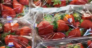 Food waste has long been reviled as an immoral, largely preventable feature of our consumer society. An estimated 4.7 million tonnes of edible food is thrown