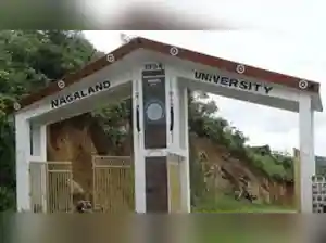 Nagaland University researchers have developed a flexible supercapacitor, a first-of-its-kind study comparing tungsten, vanadium, and cobalt doping in molybdenum diselenide, with cobalt proving most effective. This eco-friendly device offers high energy storage and durability, poised to power next-generation wearable electronics, EVs, and renewable energy systems. The innovation strengthens India's path toward self-reliant energy solutions.Nagaland University researchers have developed a flexible supercapacitor, a first-of-its-kind study comparing tungsten, vanadium, and cobalt doping in molybdenum diselenide, with cobalt proving most effective. This eco-friendly device offers high energy storage and durability, poised to power next-generation wearable electronics, EVs, and renewable energy systems. The innovation strengthens India's path toward self-reliant energy solutions.Researchers at Nagaland University have developed a flexible supercapacitor device capable of powering next-generation wearable electronics, electric vehicles (EVs), and renewable energy systems, a breakthrough that has the potential to transform energy storage technologies, according to officials.<br><br>This is a first-of-its-kind study to compare tungsten, vanadium, and cobalt doping in molybdenum diselenide for energy storage. Significantly, the researchers went beyond lab-scale material development and built a working prototype of the flexible supercapacitor, demonstrating its practical viability, they said.<br><br> While the immediate applications include health-monitoring devices, IoT gadgets, and robotics, the innovation also holds potential for electric vehicles. Such flexible supercapacitors could improve regenerative braking systems, provide quick acceleration boosts, and extend battery lifespans, they said.<br><br>Vijeth H, Assistant Professor at Nagaland University, said such research could help India reduce dependence on imported batteries while boosting clean energy and storage technologies under the vision of 'Aatmanirbhar Bharat'.<br><br>The findings of the research have been published in RSC Advances, a peer-reviewed scientific journal published by the Royal Society of Chemistry.<br><br>