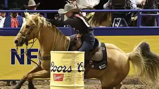 National Finals Rodeo Day 3 standings